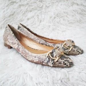 Kate Spade Eryn Snakeskin Pointed Flat Gold Buckle